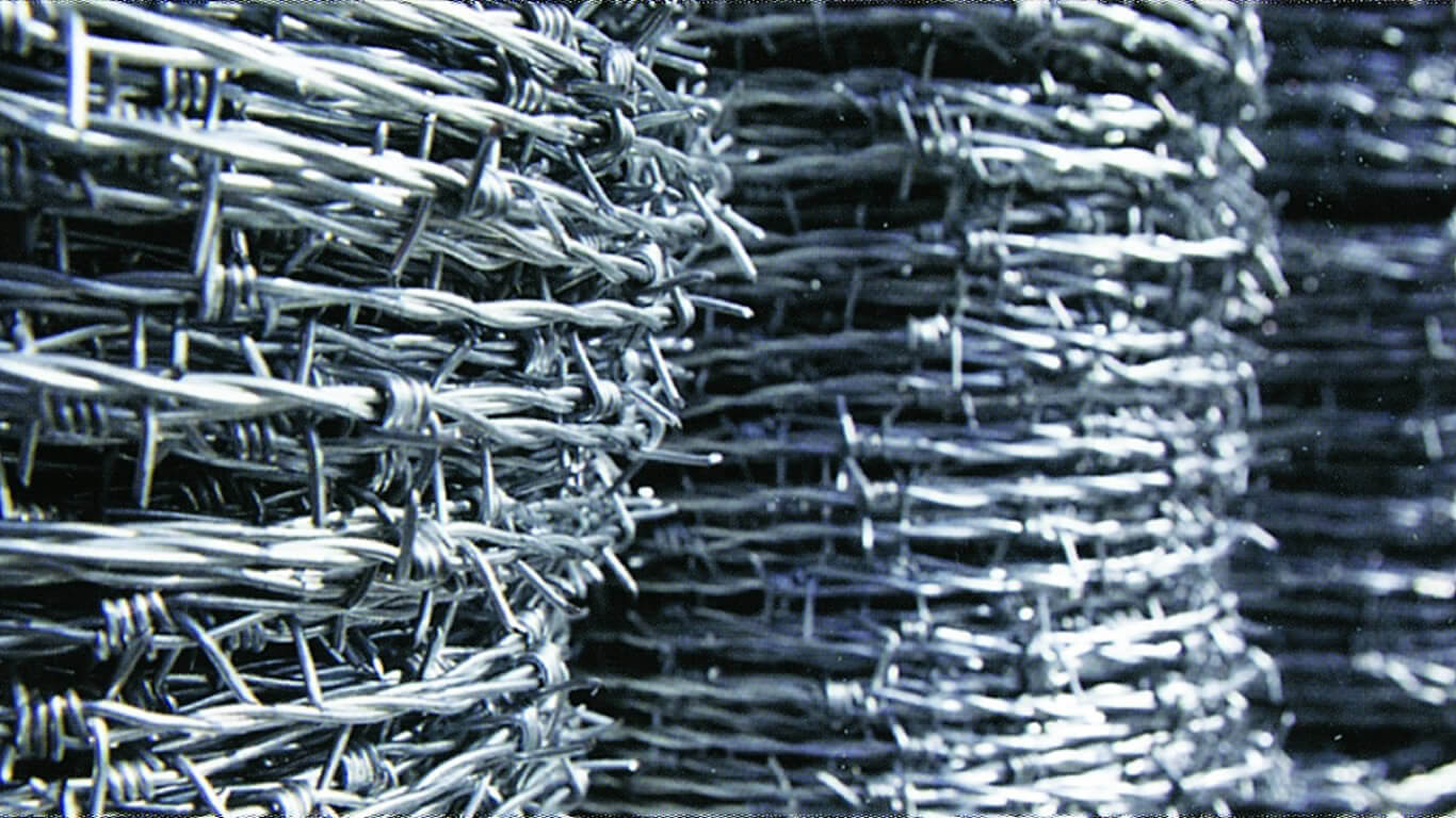 Dikenli Tel Alırken Nelere Dikkat Edilmeli